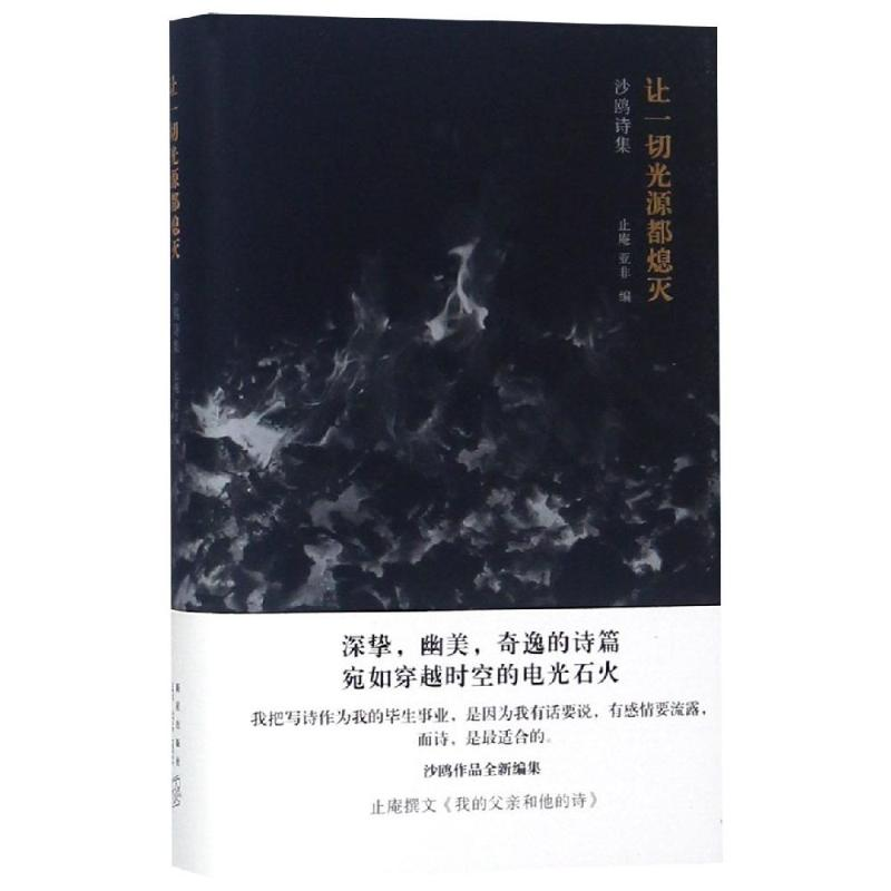 醉染图书让一切光源都熄灭9787513333924高清大图