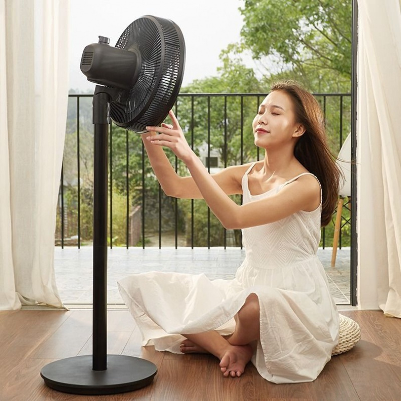 电风扇落地扇家用卧室台式两用电扇宿舍用便携通风大风力风扇sad30mb