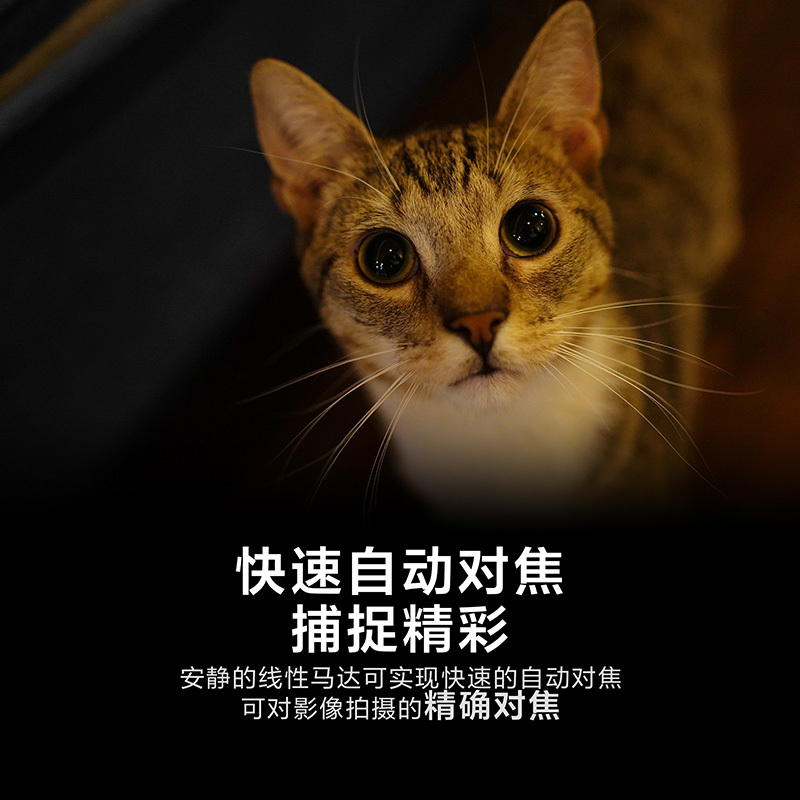 索尼(SONY) FE 35mm F1.8 全画幅广角定焦镜头(SEL35F18F)