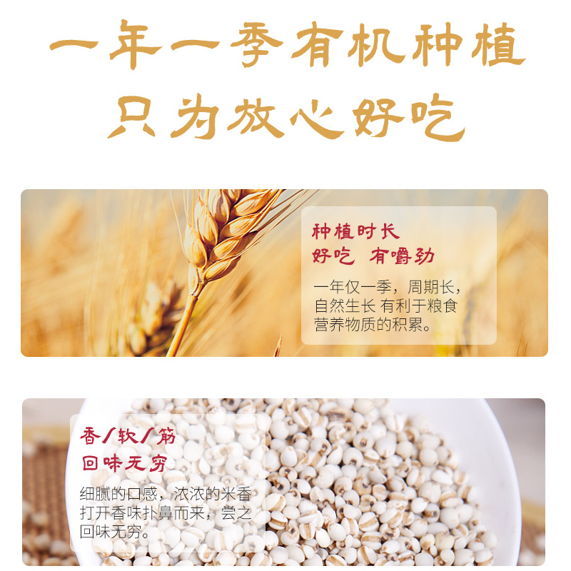 德伟有机薏米400g 小颗粒新货优质营养食品生态苡米仁五谷杂粮粥