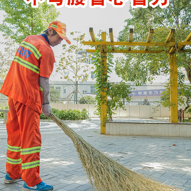 耀豪坤大扫把带叶约6斤 ZGS高清大图