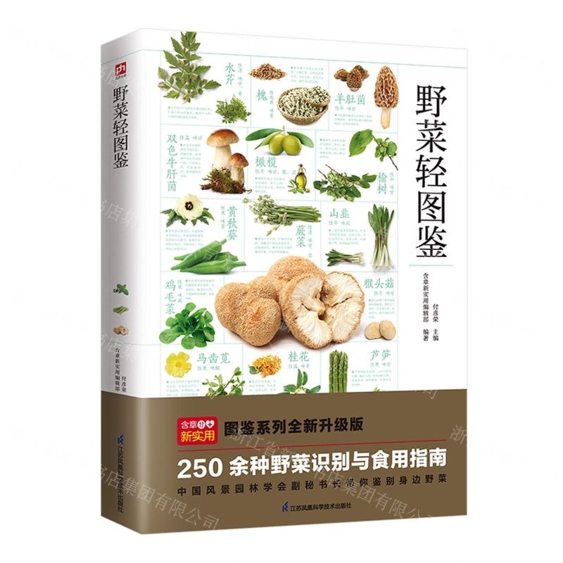 [N]野菜轻图鉴-9787571333980高清大图