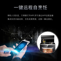 火王(Hione)523A1/ZK集成灶一体灶 油烟机 燃气灶家用5.23KW爆炒大火力 19立方大风量 蒸烤一体