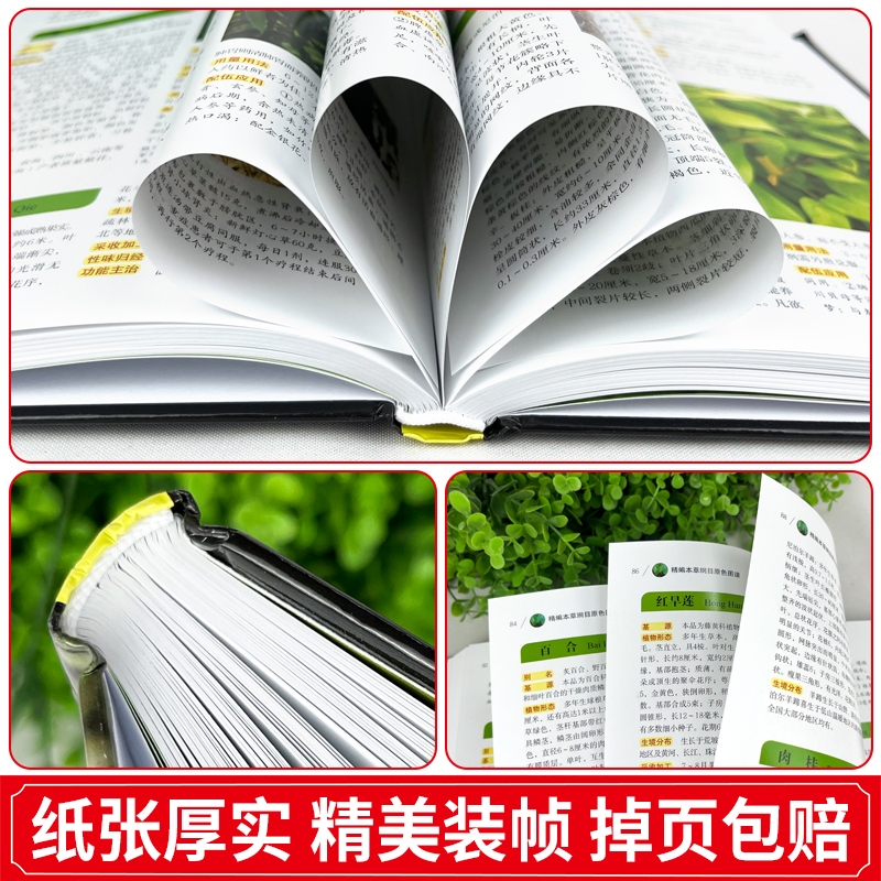 [5册]本草纲目3原色图谱3册+禁忌+鉴别 [正版]全书实拍本草纲目 精装原版全套李时珍中草药彩图大全书中医基础理论大全高清大图