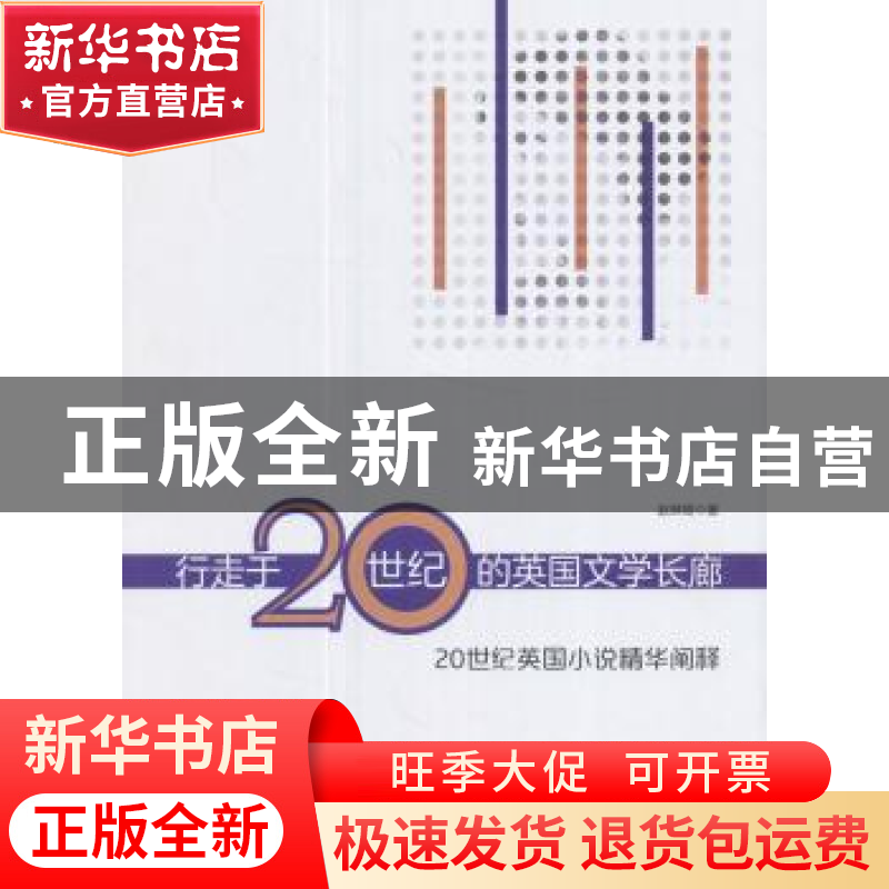 正版 行走于20世纪的英国文学长廊:20世纪英国小说精华阐释 赵琳高清大图
