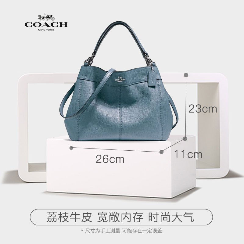 【直营】COACH 蔻驰 Lexy系列女士软质牛皮小号单肩包手提包斜挎包Coach女包 F23537