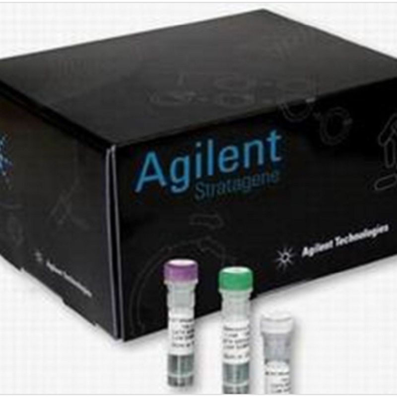 安捷伦 惰性样品定量环,1.0 mL G1540-30026