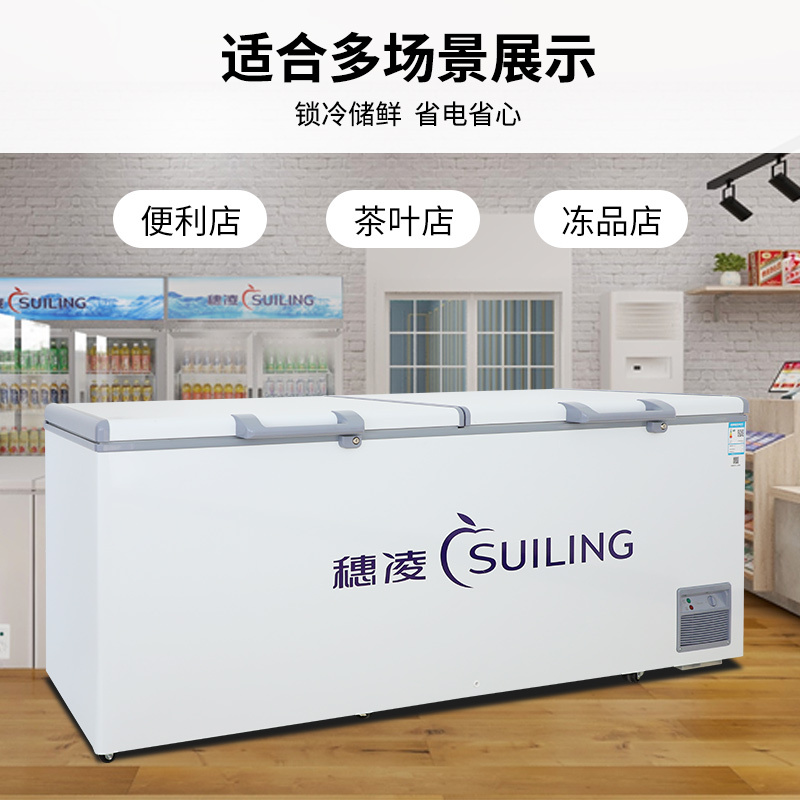 穗凌(suiling)商用冰柜一级能效省电大容量卧式冷柜冷藏冷冻可转换