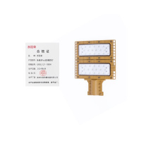 ZHEGUANRONG/浙冠荣免维护led防爆路灯 GRDL121-100W 个