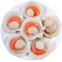 [四海生鲜]东山岛新鲜活冻扇贝半开扇贝生鲜海产 500g(10个)烧烤食材