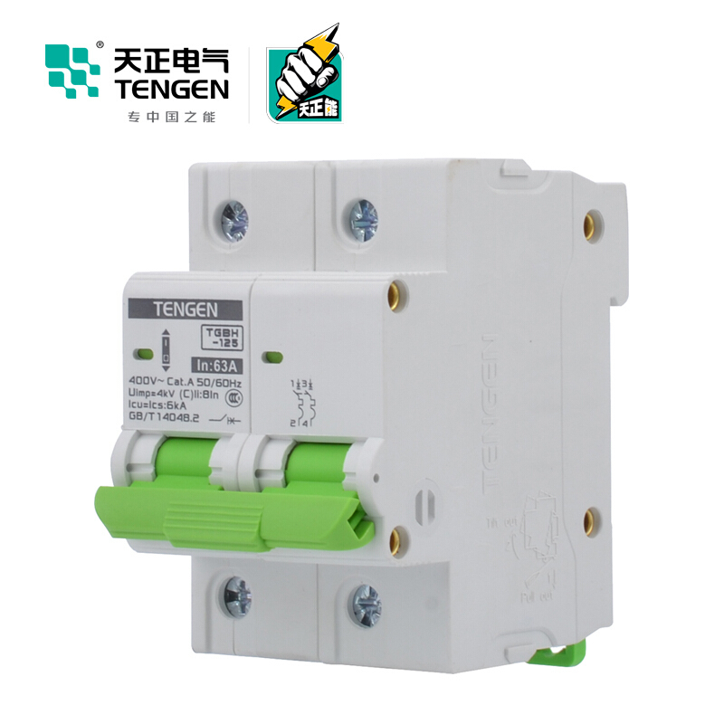 天正电气瑞彩系列TGBH-125 空气开关 6KA 2P C 63A 335013800241 微型断路器