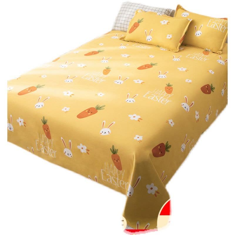 双人床家用单件床单 学生宿舍被单 1.0米m磨毛炕单女图片