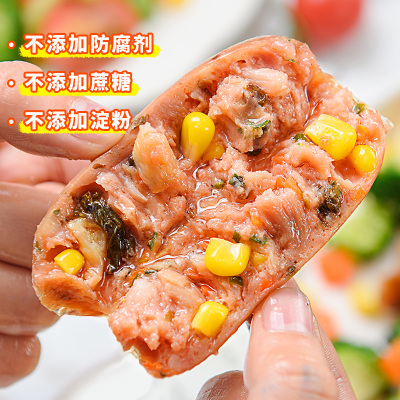 膳食肠200g*4袋[共20根] 食者道膳食肠无淀粉肉肠地道肠火山石烤肠脆皮热狗烤香肠蔬菜肠