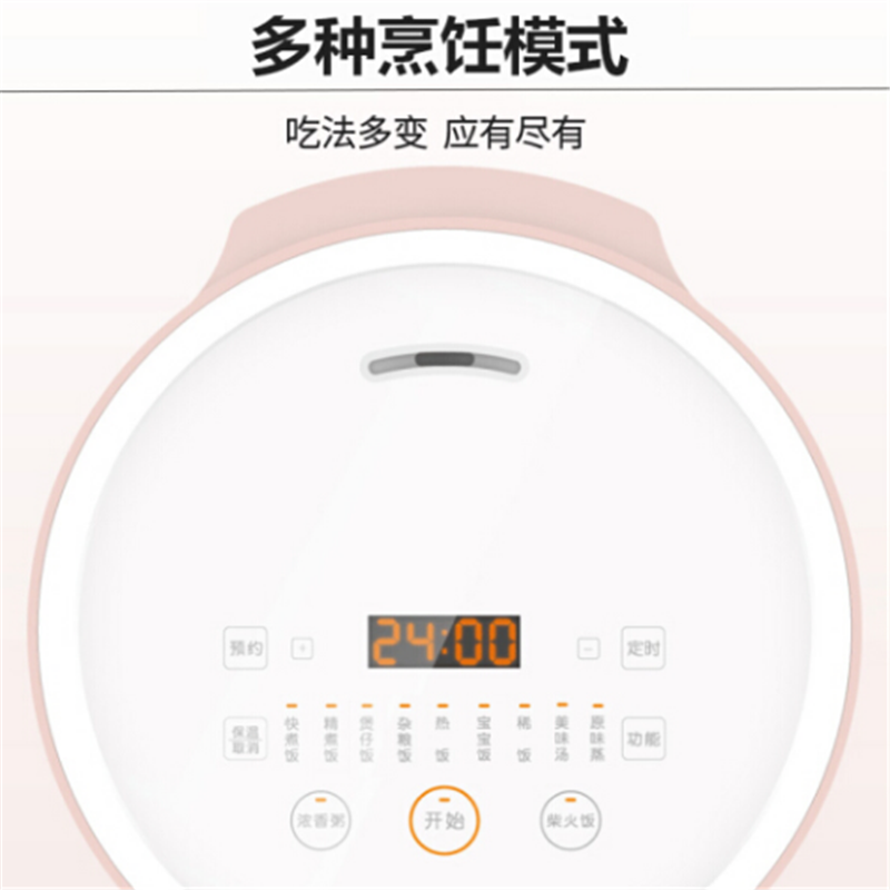 九阳电饭煲25FZ1