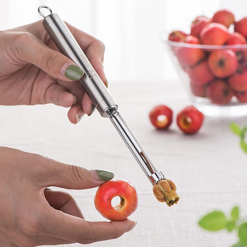 山楂去核器工具304不锈钢糖葫芦专用新款红枣取核扣籽取心器4件套