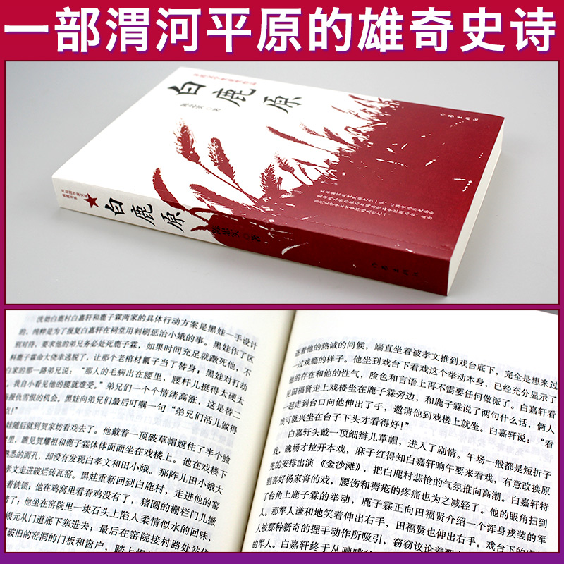 [正版]F 白鹿原 陈忠实经典代表作全本54.9万字文学小说书籍茅盾文学奖得者纪念出版 爱情现当代农村青春文学 新高清大图