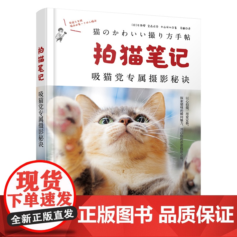 拍猫笔记 猫咪摄影师吸猫党专属摄影秘诀 猫咪爱好者拍摄指南捕捉猫咪魅力秘诀基础 相机设置 光线运用 构图技巧 宠物摄影参高清大图