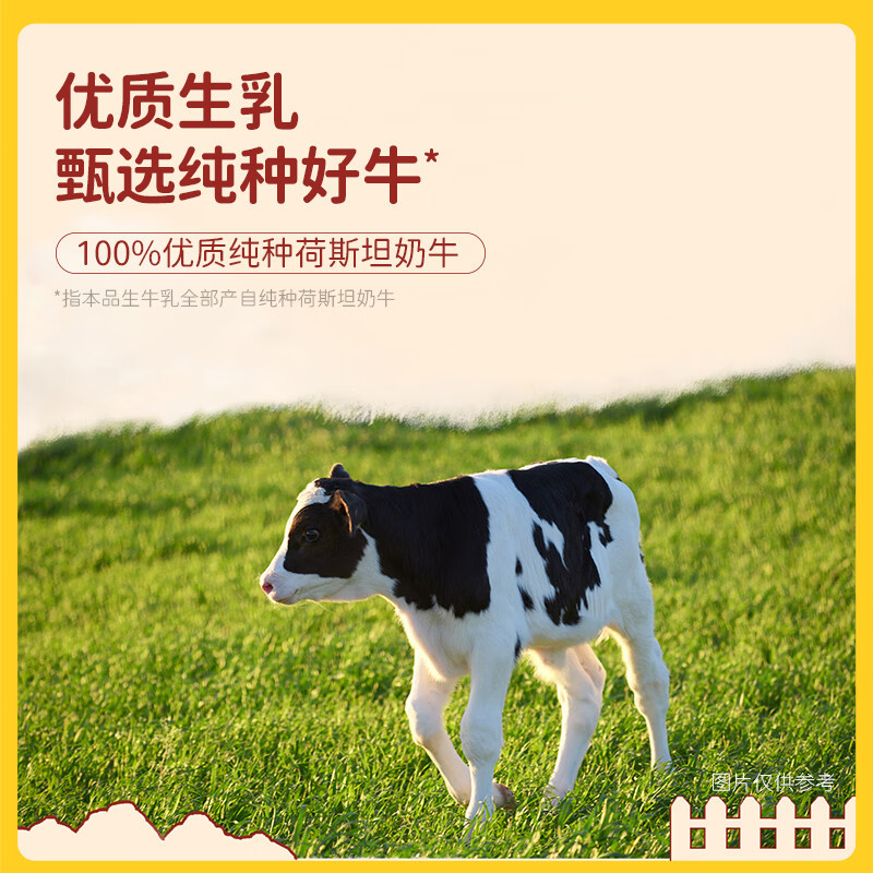 北海牧场 特浓牛乳纯牛奶200ml*12盒 3.8g原生乳蛋白自带甜感高钙年货礼盒