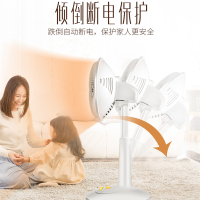 格力(GREE)取暖器 家用小太阳速热柔光电热扇 摇头送暖烤火炉 台地两用高度可调宿舍定时节能电暖器 FGH-10B