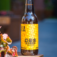 京A凸豪金比尔森精酿啤酒330ml*12瓶