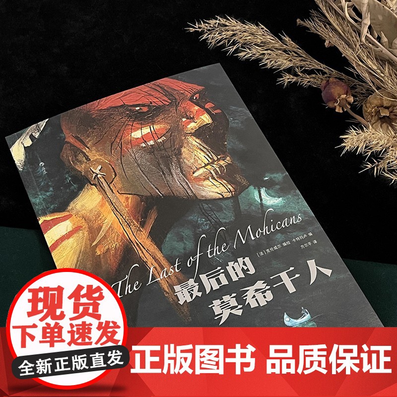 最后的莫希干人 同名名著改编世界文学经典 北美洲印第安文化莫希干民族战争故事 后浪漫漫画图像小说高清大图