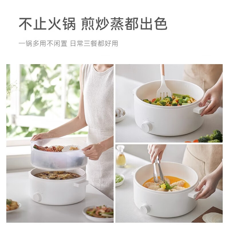 olayks.立时5L电火锅(带笼)OLK-01-12 ZCDHG00102高清大图