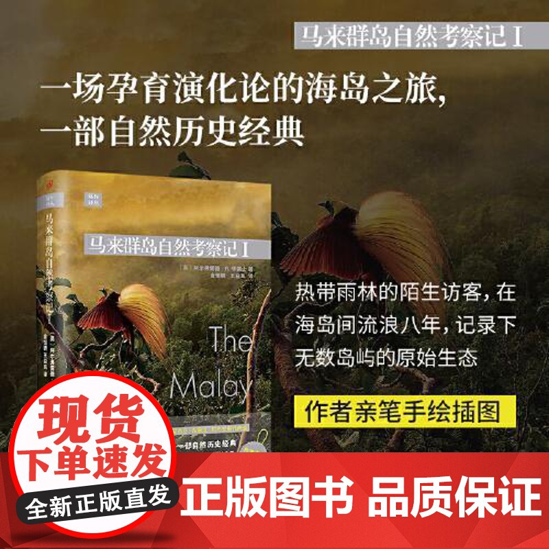 远行译丛:马来群岛自然考察记I(精装) 人民文学出版社高清大图