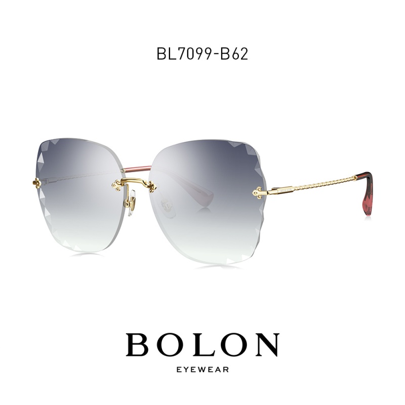 暴龙2020新款太阳镜女蝶形时尚潮流街拍墨镜金属框眼镜BL7099高清大图