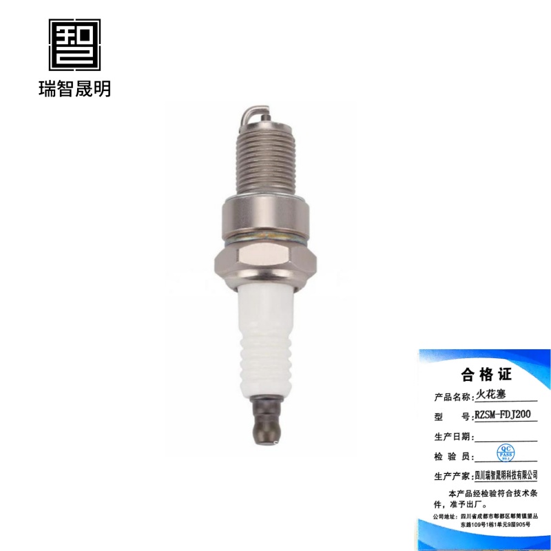 瑞智晟明(RZSM)火花塞RZSM-FDJ200高清大图