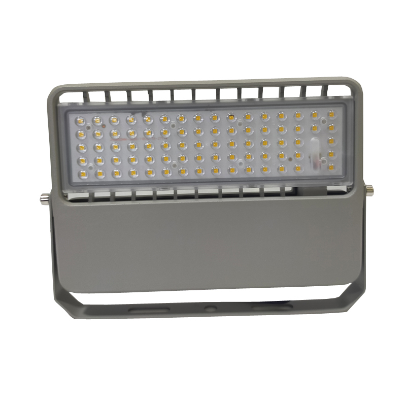 LHE2365 LED应急投光灯 30W 冷光 36V IP65 (计价单位:个)灰色高清大图
