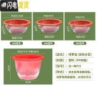 三维工匠花盆大号塑料透明罩懒人自动吸水花盆绿萝专用储水双层 青白340花盆+透明罩+棉绳 大花盆容器