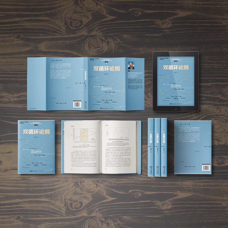 [纸书+有声书]双循环论纲 [正版]出版社双循环论纲 蔡昉中国社科院智库专家解读中国经济未来高质量发展读懂未来消费潜力发高清大图