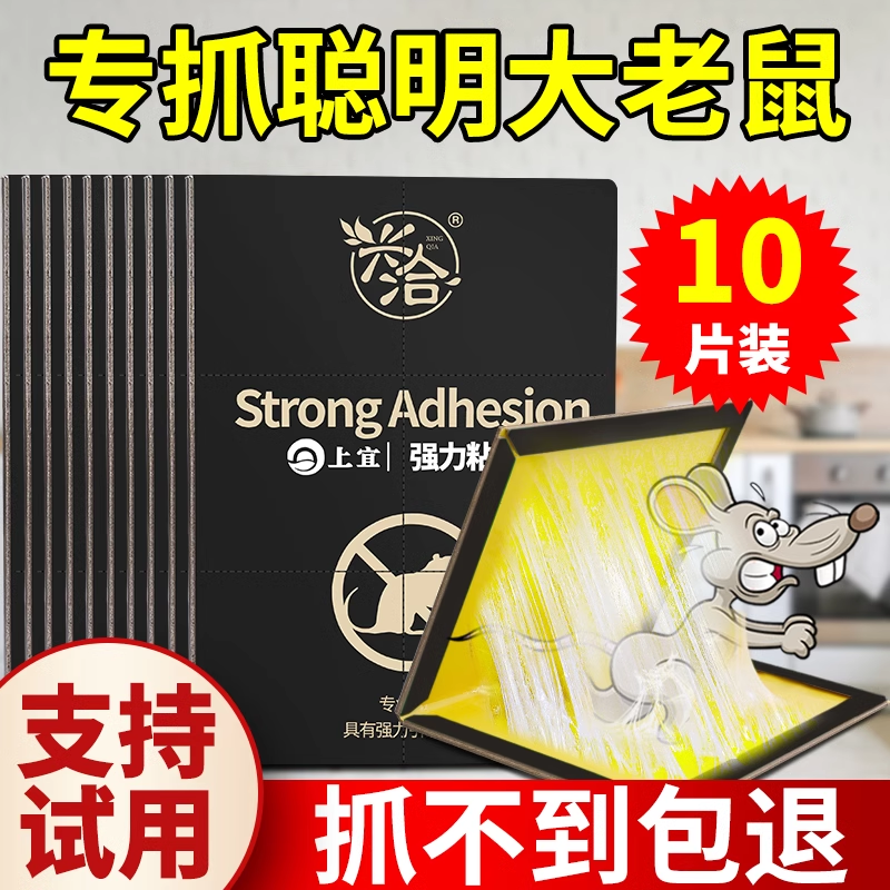 兴洽粘鼠板10枚高清大图