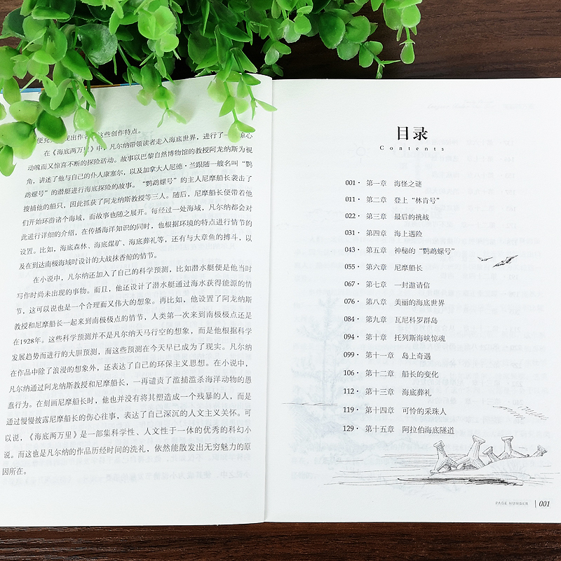 秘密花园 [正版]任选名著全套67册 世界名著全套原著书籍小说经典儿童文假如给我三天光明昆虫记爱的教育海底两万里简爱中小