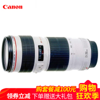 佳能（Canon） EF 70-200mm F/4L USM 远摄变焦镜头 单反相机镜头