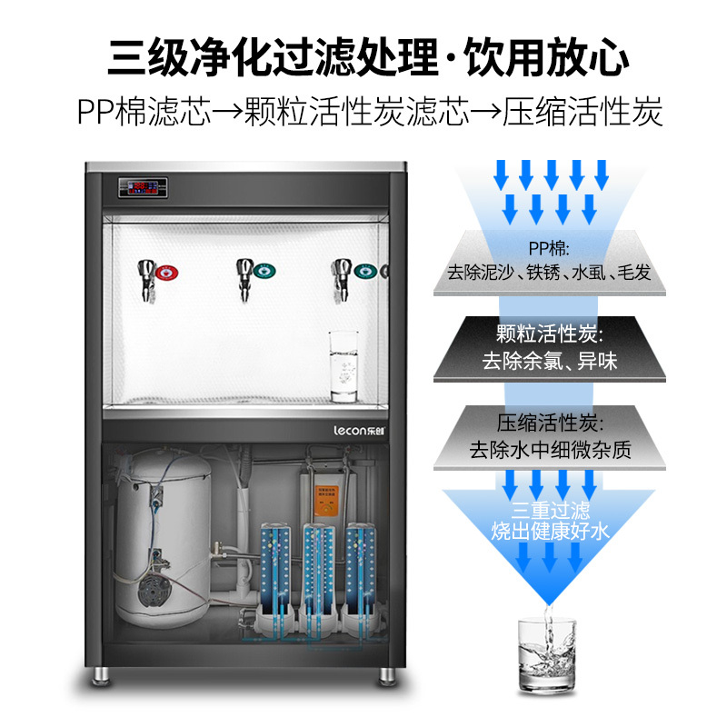 飞天鼠(FTIANSHU)商用开水器大型柜式直饮水机全自动电热双头一开一温TX-2G