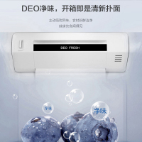 海尔(Haier)538升对开门嵌入冰箱 一级双变频节能 精控多路送风 智+魔方视窗 BCD-538WGHSSEDB9