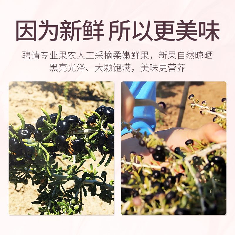 杞里香礼盒黑枸杞120g-全新升级款青海黑枸杞中大果大颗粒无杂质上等干果泡茶水养生茶饮官方旗舰店高清大图
