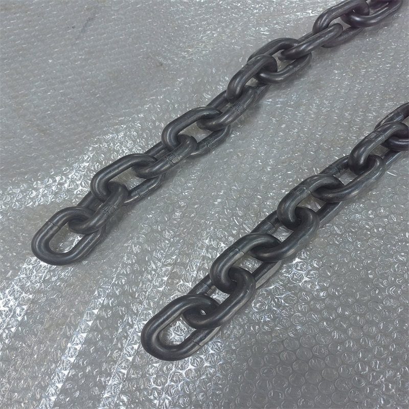 飞享祥隆 链条(10mm)米高清大图