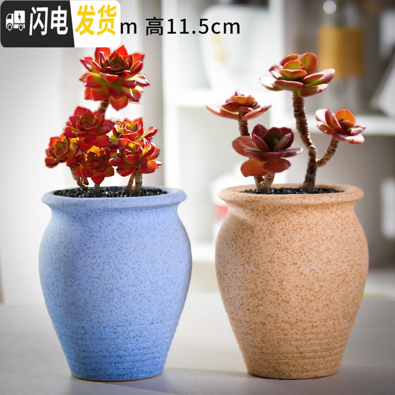 三维工匠老庄多肉花盆悬崖桩肉肉植物小盆器黑法师粗陶大口径创意个性 如图款式9 中等花盆容器高清大图