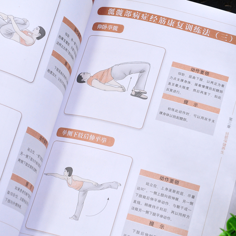 [正版]全3册图解十二经络调筋术图解书人体经络图解经络穴位按摩大全穴位图穴位书籍 图解手法高清大图