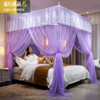 夏季蕾丝公主风三开宫廷蚊帐单人学生宿舍双人家用1.5米1.8米床三维工匠 1.5m（5英尺）床 紫色