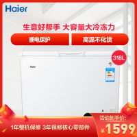 海尔(Haier)318升 卧式冷柜 断电保护 高温不化货 节能省电 大冷冻力 商用大冰柜 BC/BD-318HD