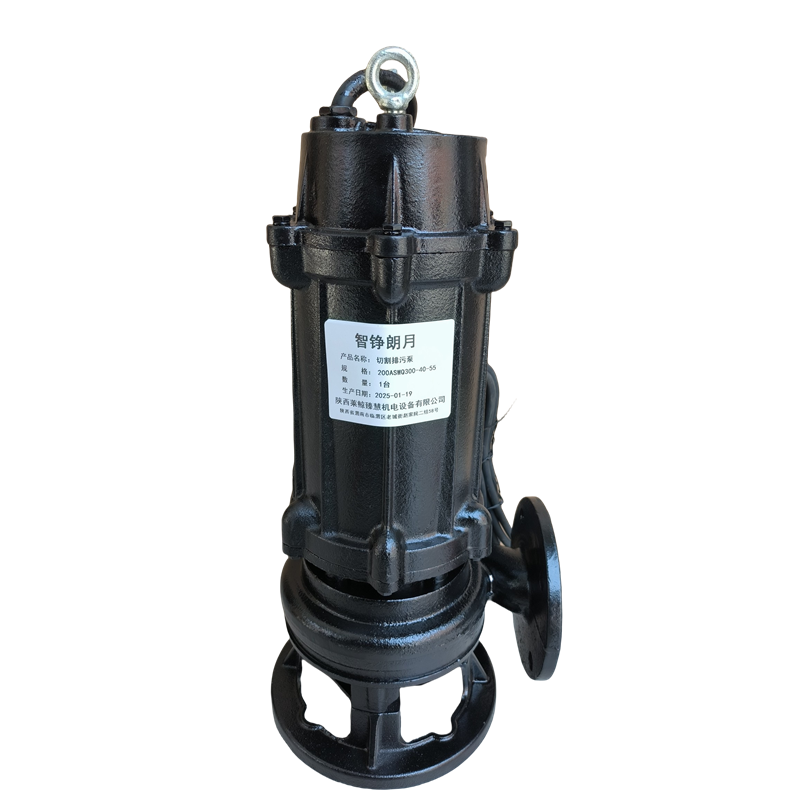 智铮朗月 切割排污泵 200ASWQ300-40-55 台高清大图