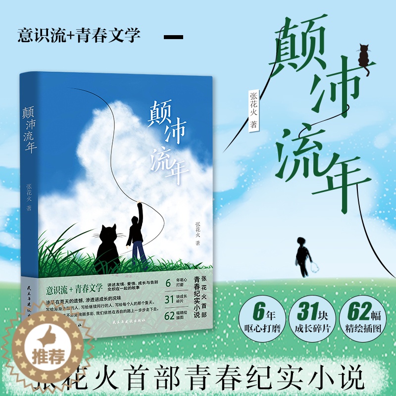 【醉染正版】正版 颠沛流年 张花火 大学生校园青春文学小说 现当代文学散文青春文学随笔真实故事书籍 考研工作人生哲理哲学