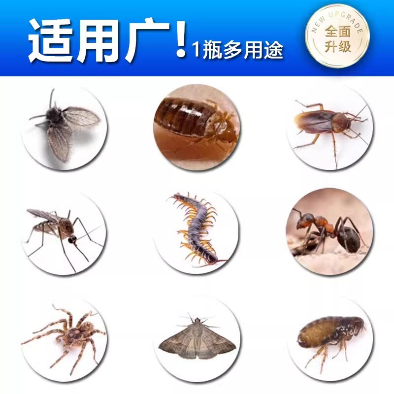 下水道杀虫剂室内去除小黑飞虫克星灭杀神器卫生间管道蛾蚋除虫剂