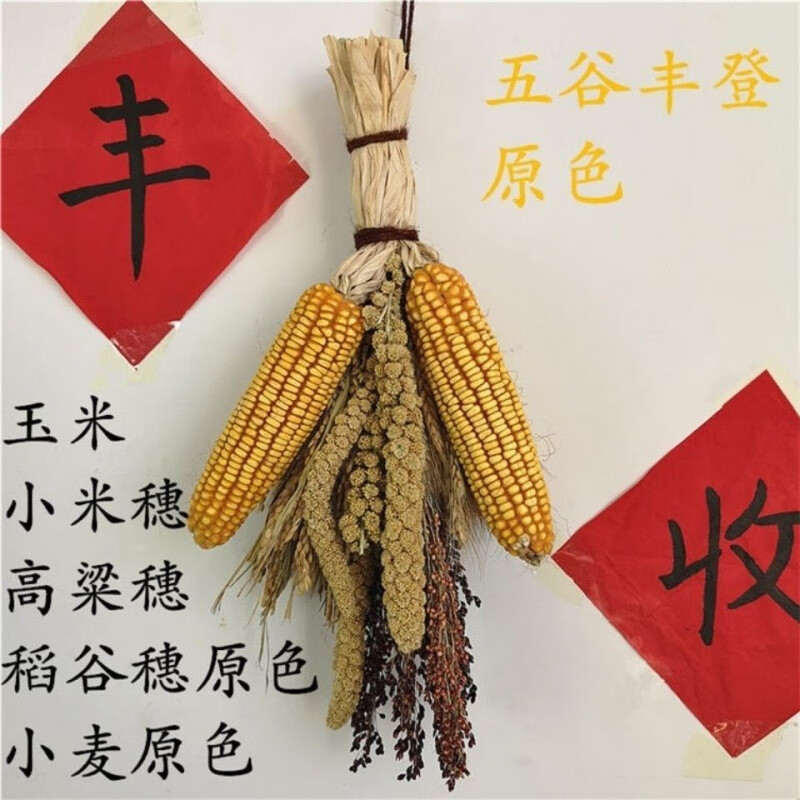 维诺亚真实五谷杂粮挂件玉米麦穗干花高粱田园农家乐装饰农作物五谷丰登 五谷丰登套餐3#(原色)