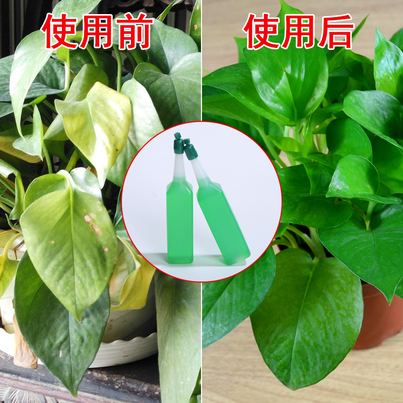 3瓶装绿植花卉盆栽营养液通用型花肥料盆栽土水培绿萝多肉液体有机肥