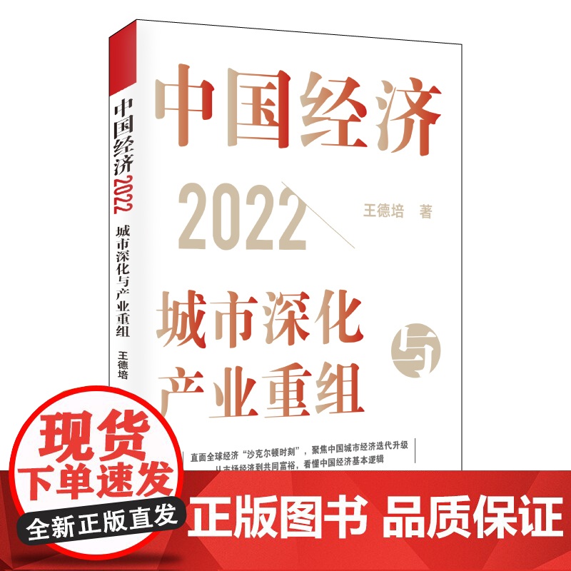 中国经济2022:城市深化与产业重组 王德培作品上海远东出版社高清大图
