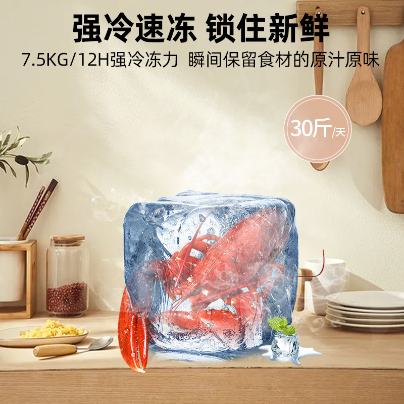 星星(XINGX) 282升家用冰柜 冷柜 商用 冷藏冷冻转换 双温冰柜 顶开门 微霜系列 强冷冻力 BCD-282R